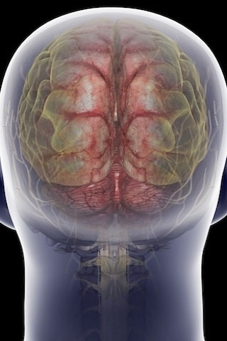 ��̾��ҽѧ3D������ͼ ��������ͼ