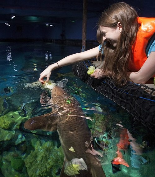 ������˵����� �����һ�������� ��ͼ��