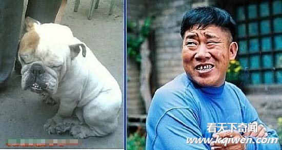 �̵������붯��Ҳ����ײ�� ����Ҳ߯����(��ͼ)