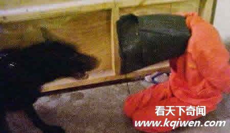 ��ʮ������Ű����Ƭ���ع� ����Ű����Ŀ����(��ͼ)