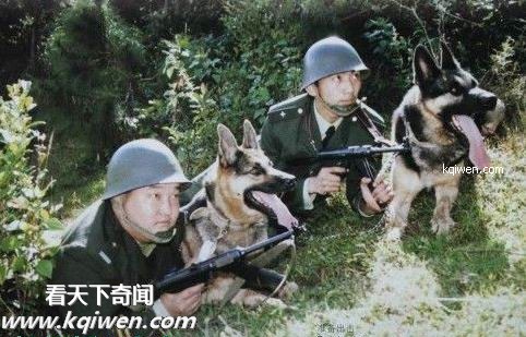 ʵ��20����90����й�����ս�������ﷸ�̳�(��ͼ)